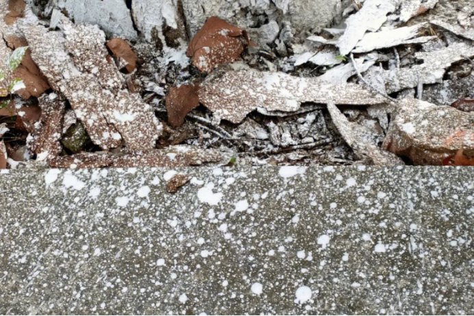 抖落是什么意思