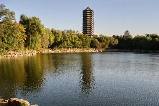 958学校排名全国排名