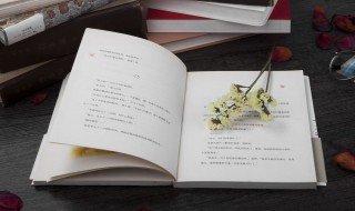 有时候的拼音 一起看看吧