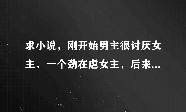 求小说，刚开始男主很讨厌女主，一个劲在虐女主，后来因为一个误会，女主死心后离开了男主。多年后带着天