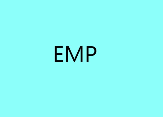 emp是什么意思