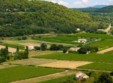 hm2是什么单位？