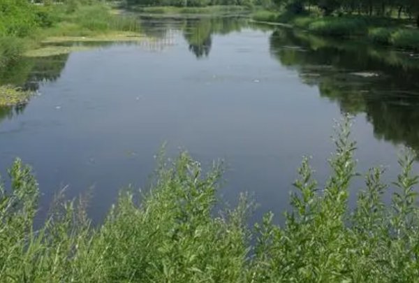 弱水三千我只取一瓢饮的意思