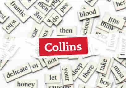 韦氏词典和牛津词典为何每年都要出年度词汇？有何意义？