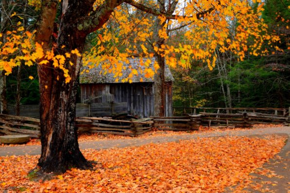 秋的诗歌现代诗