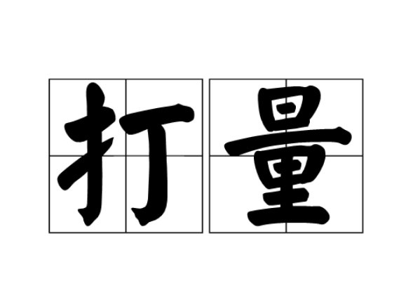 打量的意思