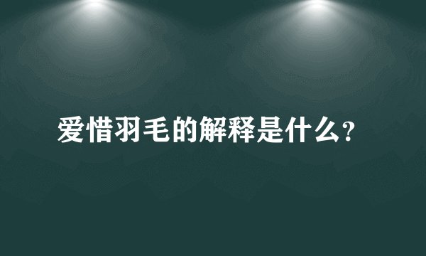 爱惜羽毛的解释是什么？