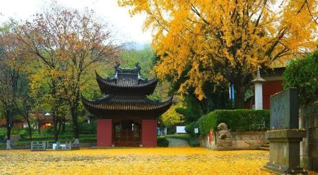 《栖霞寺1937》故事原型是什么？