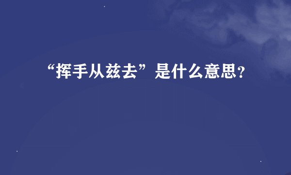 “挥手从兹去”是什么意思？