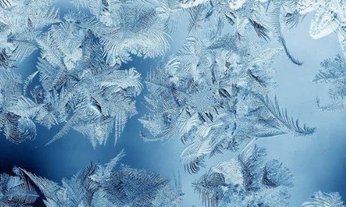 冰花像什么像什么又像什么