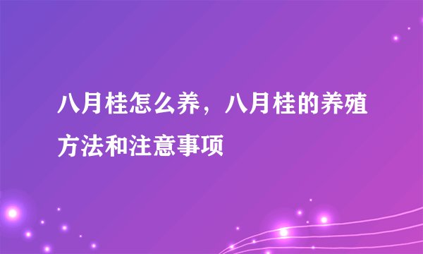 八月桂怎么养，八月桂的养殖方法和注意事项