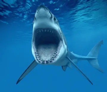 世界上最长的鱼