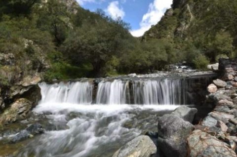 什么皆图画,什么不文章？