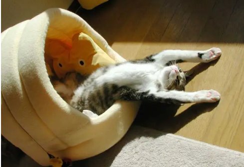 舒服的反义词。