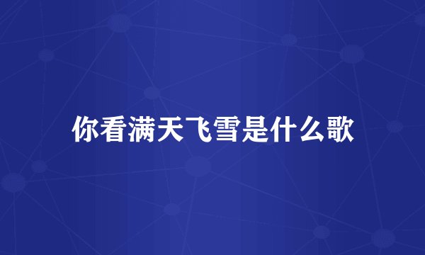 你看满天飞雪是什么歌
