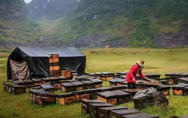 我量的酒喝不醉我自己这是什么歌