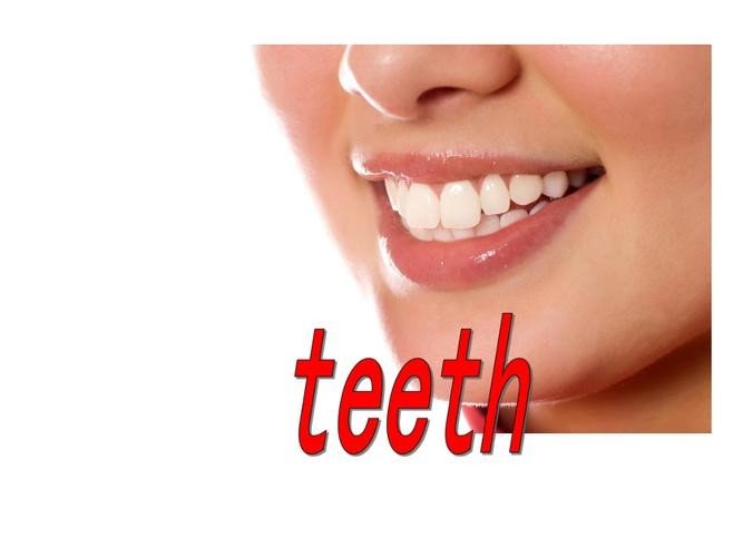 teeth的意思