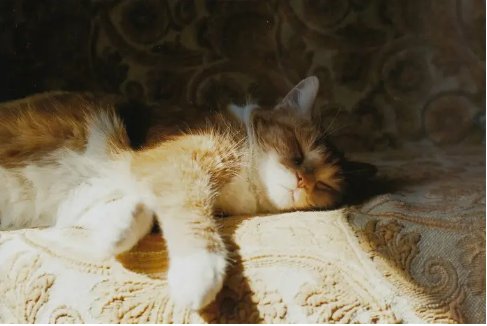 舒服的反义词。