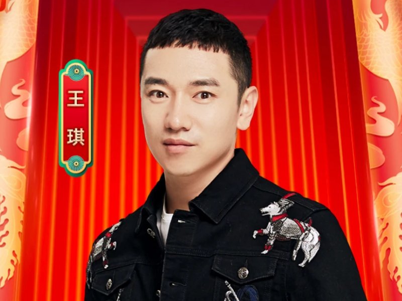 王琪的十首经典歌曲