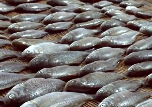 永年广府酥鱼的做法步骤