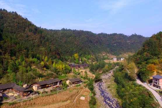 坪坝的意思是什么？