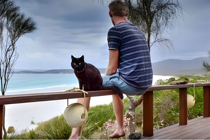 大智是什么意思