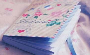 描写南瓜花的唯美句子