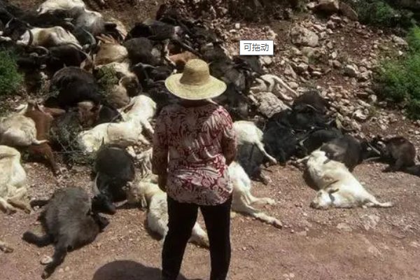 化为乌有什么意思