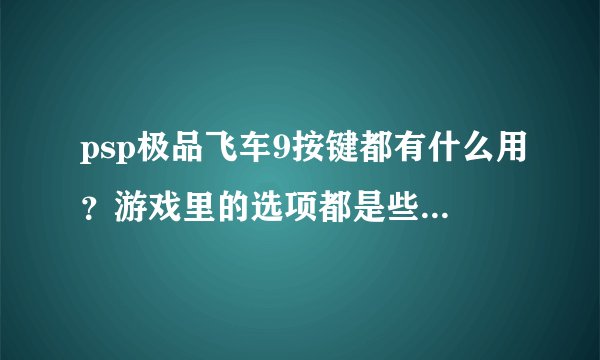 psp极品飞车9按键都有什么用？游戏里的选项都是些意思？请用中文解释一下