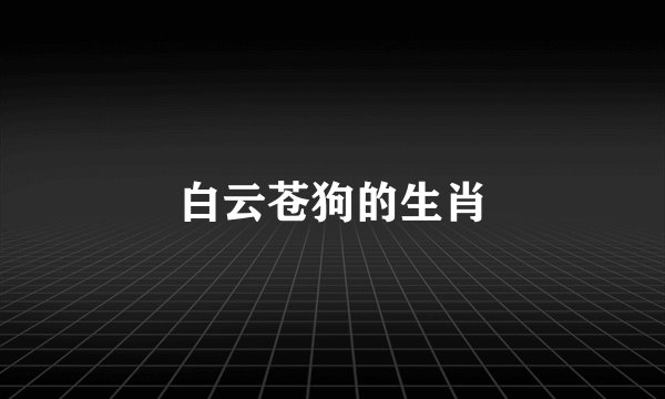 白云苍狗的生肖