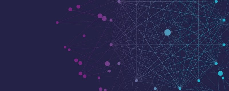 网虫是什么意思