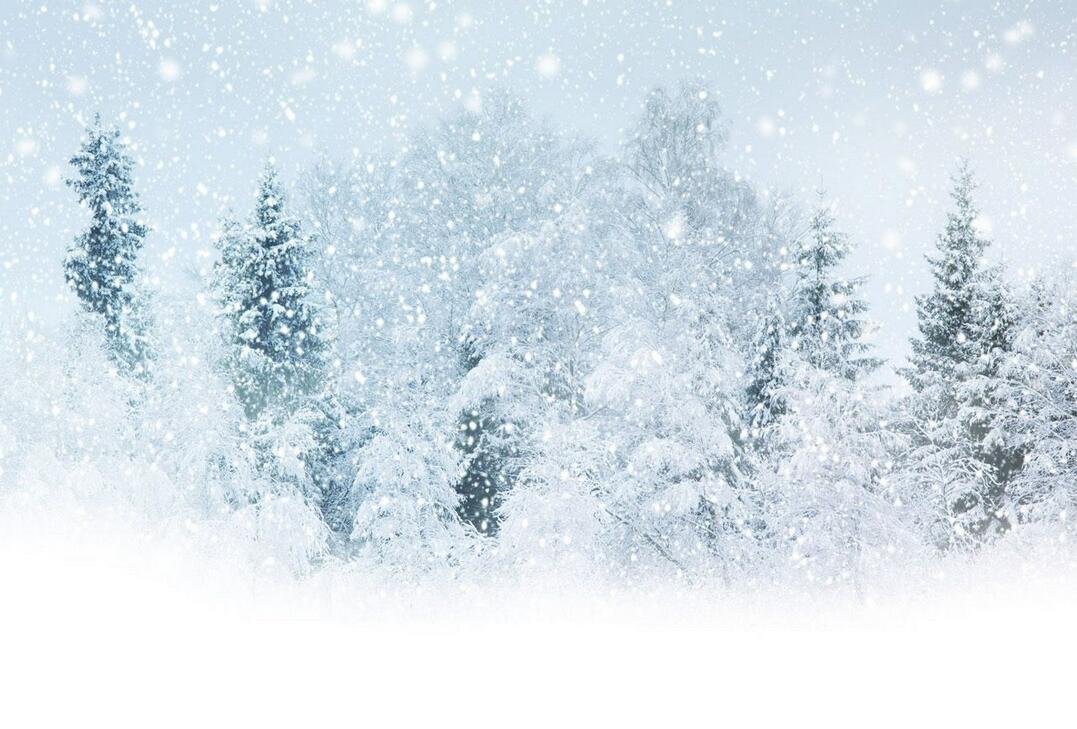 “今我来思,雨雪霏霏”的意思是什么？