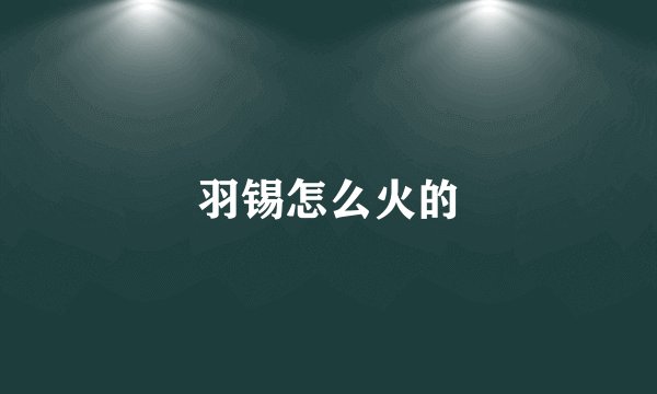 羽锡怎么火的