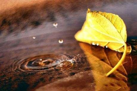 “色即是空,空即是色。”出自何处?