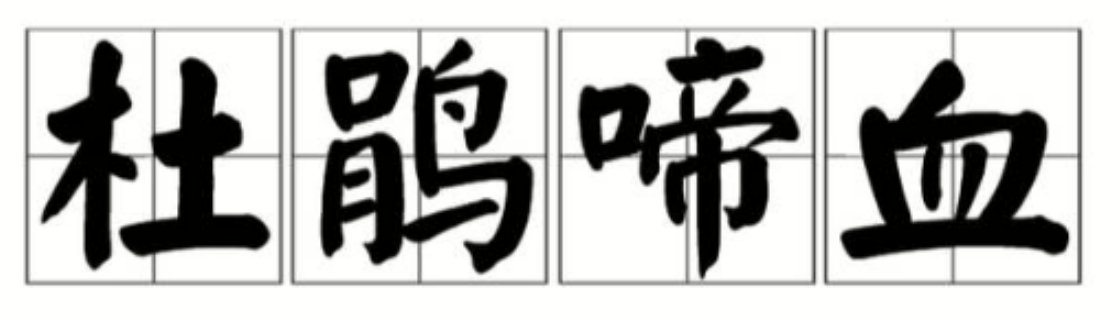 杜鹃啼血什么意思