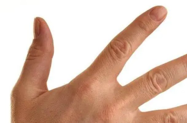 手指螺纹一到十意义