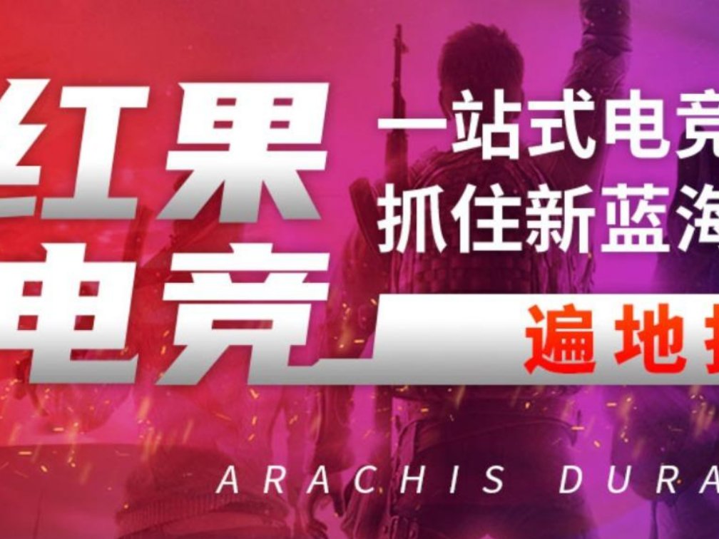 游戏代理公司哪家好