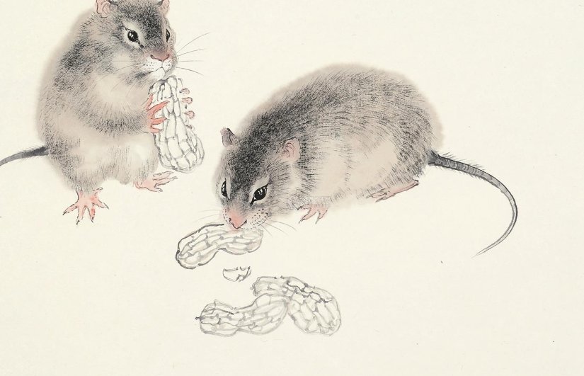 忆昔抚今是什么生肖