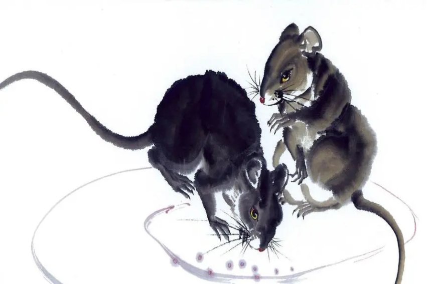 半夜三更是指什么生肖