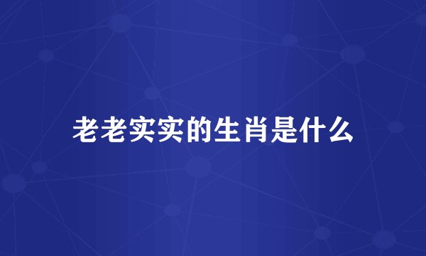 老老实实的生肖是什么