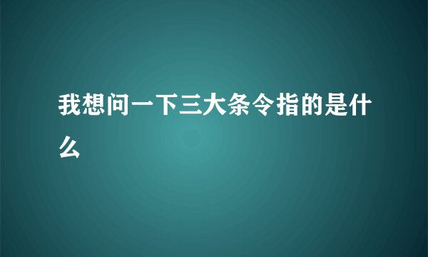我想问一下三大条令指的是什么