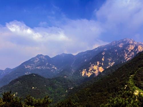 齐鲁青未了是什么意思