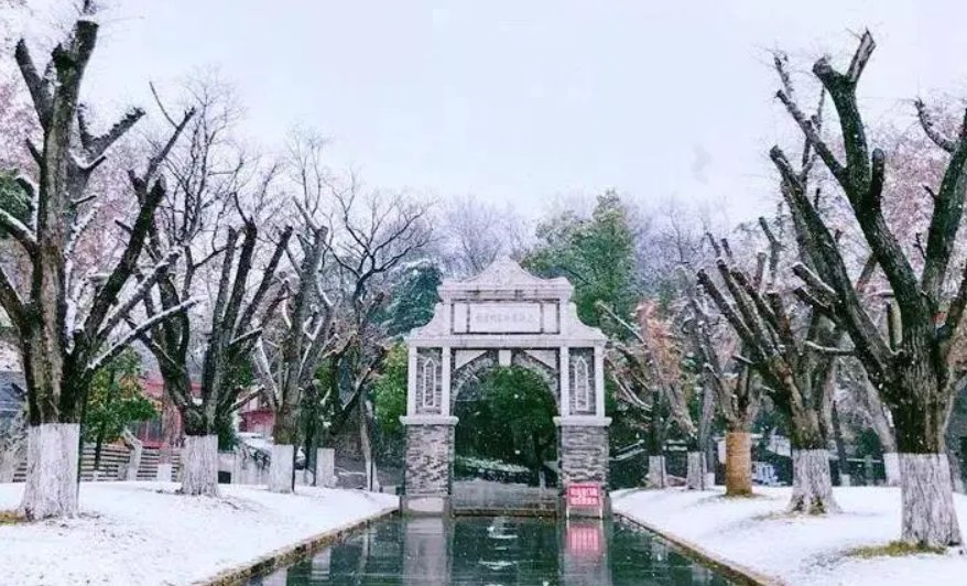 南艺校训闳约深美含义