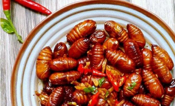 蚕蛹保存的方法有哪些？