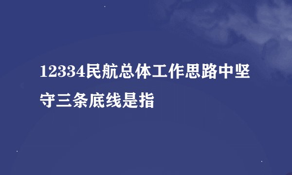 12334民航总体工作思路中坚守三条底线是指