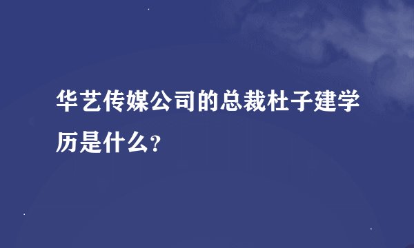 华艺传媒公司的总裁杜子建学历是什么？