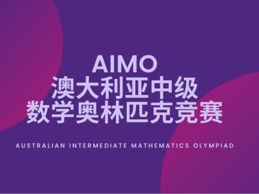 毕业生登记表的可以写什么特长？