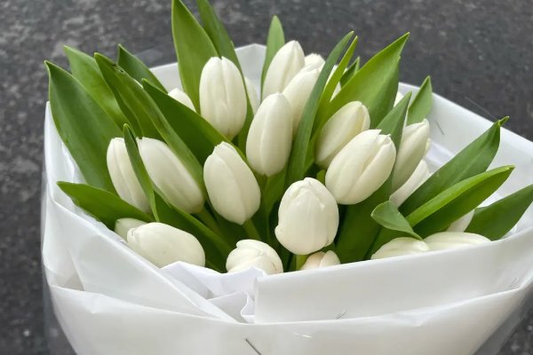 白色郁金香花语是什么意思