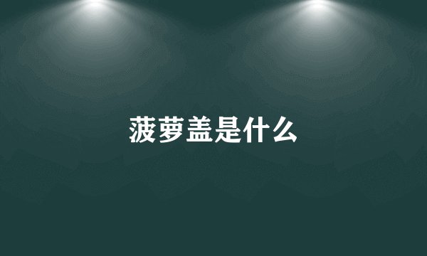 菠萝盖是什么