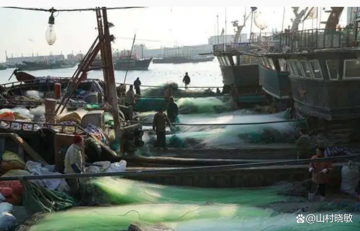 渔船出海捕鱼的方式很多，最主要最通用的捕鱼方式有哪些呢？